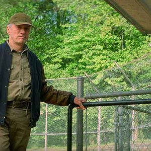 Bilder Clint Eastwood