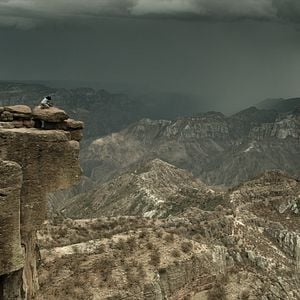 Bilder Cartas a Elena