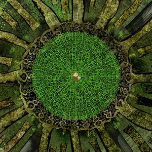 Bilder Das Geheimnis von Kells