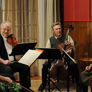 Bilder Saiten des Lebens