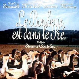 Bilder Das Glück liegt in der Wiese