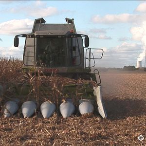 Bilder Tous Cobayes?