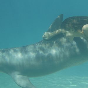 Bilder H2O - Plötzlich Meerjungfrau