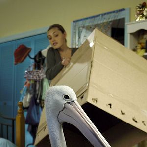 Bilder H2O - Plötzlich Meerjungfrau