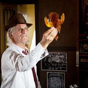 Bilder Die Jagd nach dem Bernsteinzimmer (TV)