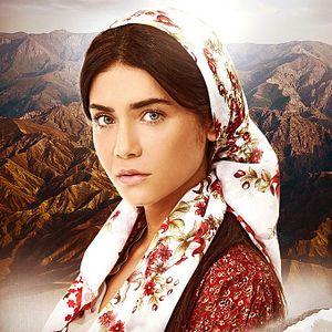 Bilder Fulya Zenginer