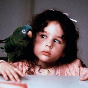 Bilder Paulie, ein Plappermaul macht seinen Weg