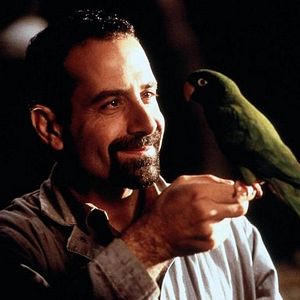 Bilder Paulie, ein Plappermaul macht seinen Weg