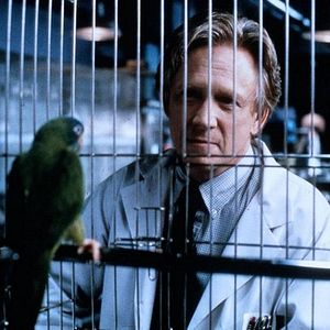 Bilder Paulie, ein Plappermaul macht seinen Weg