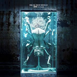 Bilder The Collection - The Collector 2