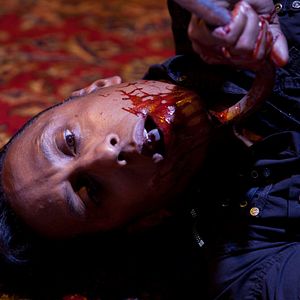 Bilder The Collection - The Collector 2