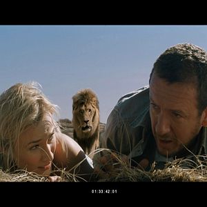 Bilder Der Nächste, bitte!