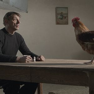 Bilder Peter Van den Begin