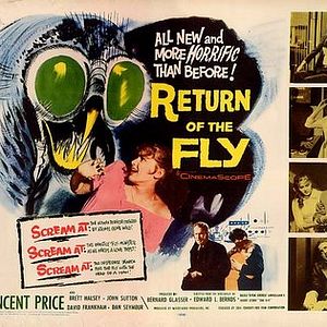 Bilder Die Rückkehr der Fliege