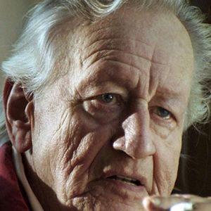 Bilder Lawinen der Erinnerung