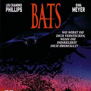 Bilder Bats - Fliegende Teufel