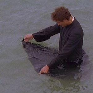 Bilder Il était une foi