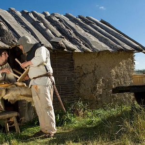 Bilder Die verrückten Wikinger
