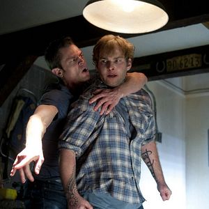 Bilder Johnny Knoxville