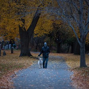 Bilder The Lords Of Salem