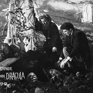 Bilder Die Stunde wenn Dracula kommt