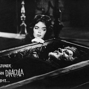 Bilder Die Stunde wenn Dracula kommt