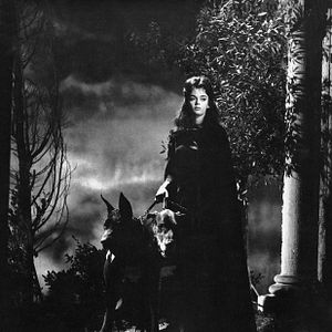 Bilder Die Stunde wenn Dracula kommt