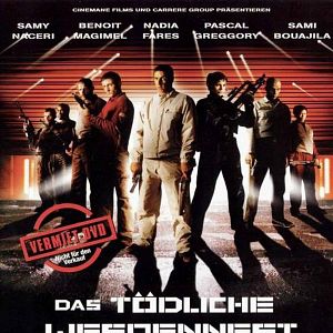 Bilder Das tödliche Wespennest