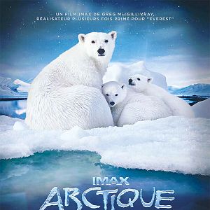 Bilder To the Arctic