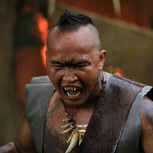 Bilder Lord of the Elves - Das Zeitalter der Halblinge