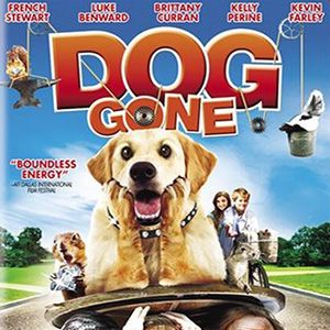 Bilder Dog Gone