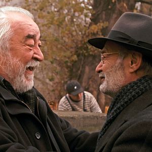 Bilder Kad svane dan