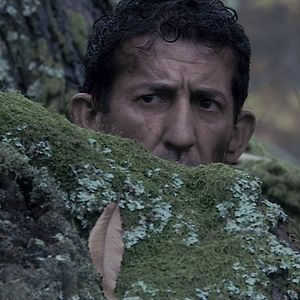 Bilder Claudio Casadio