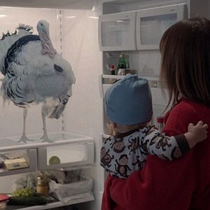 Bilder 30 Nights of Paranormal Activity with the Devil Inside