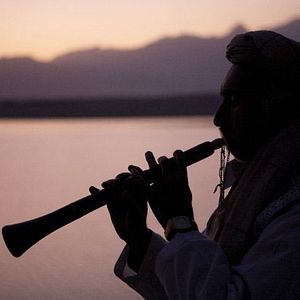 Bilder The Black Tulip