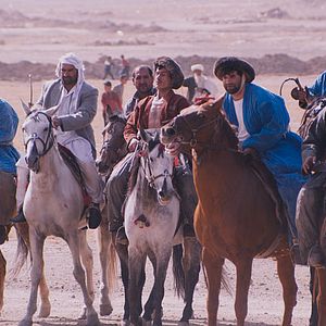 Bilder The Black Tulip