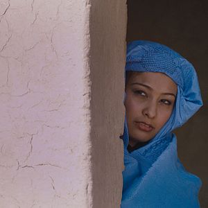 Bilder The Black Tulip