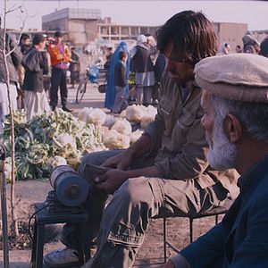 Bilder The Black Tulip