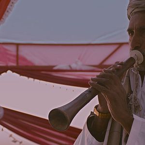 Bilder The Black Tulip