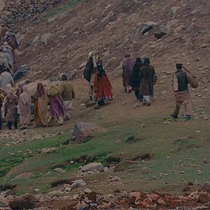 Bilder The Black Tulip