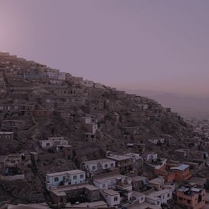 Bilder The Black Tulip