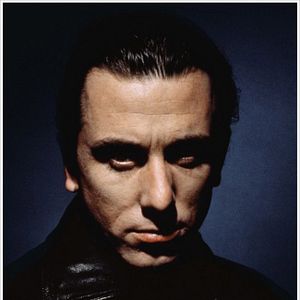 Bilder Tim Roth