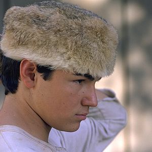 Bilder Wo der rote Farn wächst