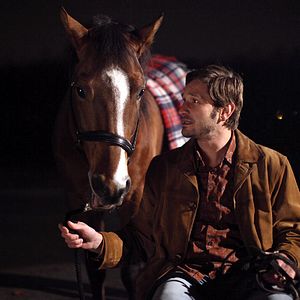 Bilder Das Pferd auf dem Balkon