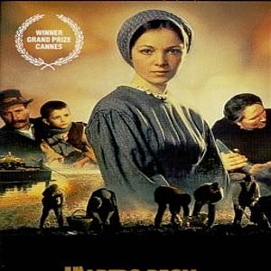 Bilder Der Holzschuhbaum