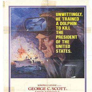 Bilder Der Tag der Delphine