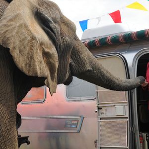 Bilder Sophie & Shiba