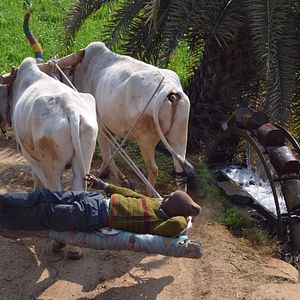 Bilder München in Indien