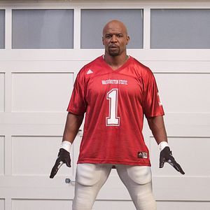 Bilder Are We There Yet?