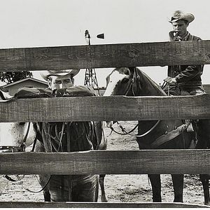 Bilder Brandon De Wilde